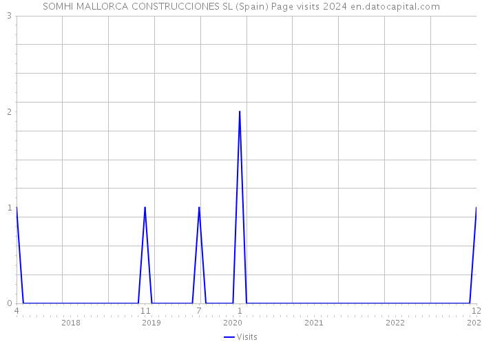 SOMHI MALLORCA CONSTRUCCIONES SL (Spain) Page visits 2024 