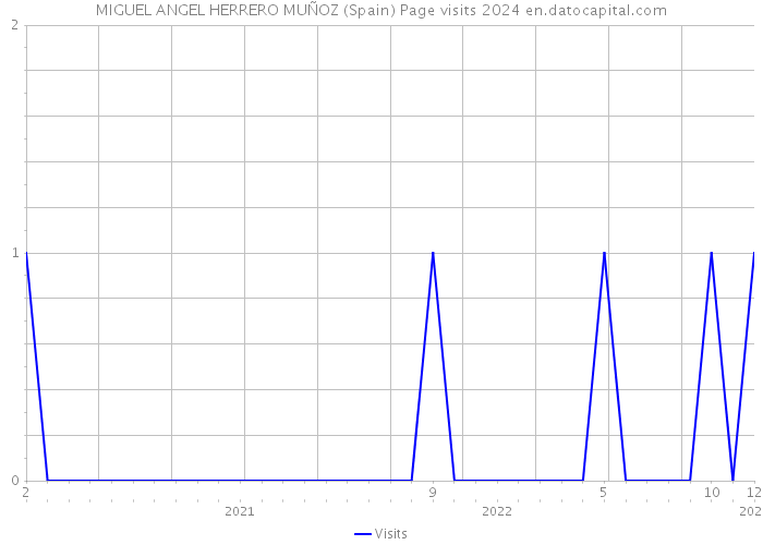 MIGUEL ANGEL HERRERO MUÑOZ (Spain) Page visits 2024 