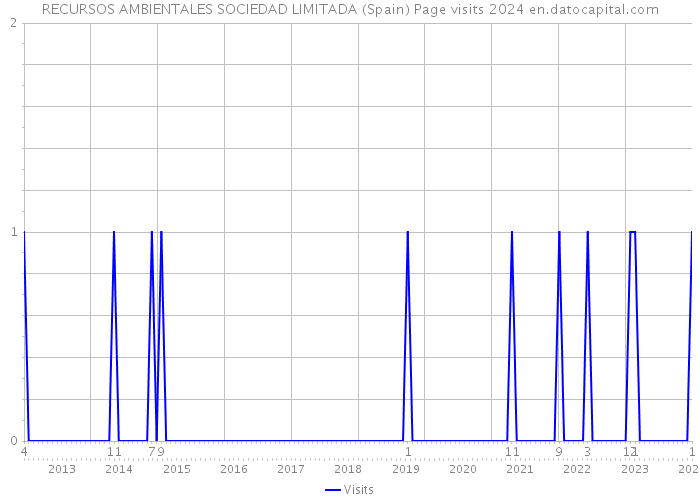 RECURSOS AMBIENTALES SOCIEDAD LIMITADA (Spain) Page visits 2024 