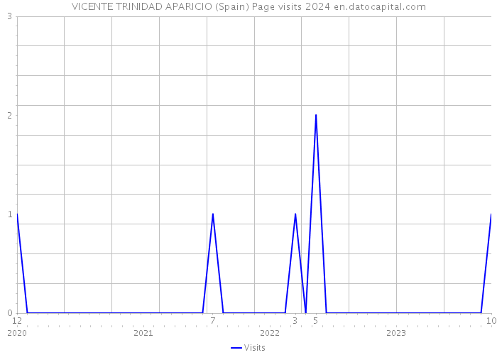 VICENTE TRINIDAD APARICIO (Spain) Page visits 2024 