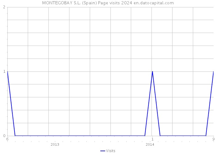 MONTEGOBAY S.L. (Spain) Page visits 2024 