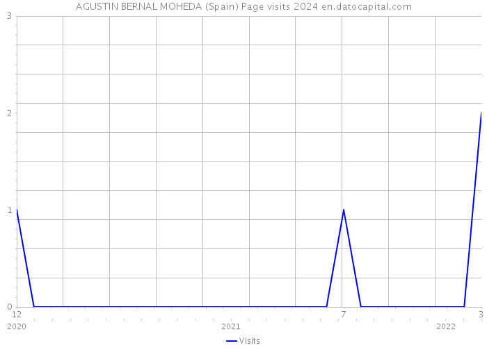 AGUSTIN BERNAL MOHEDA (Spain) Page visits 2024 