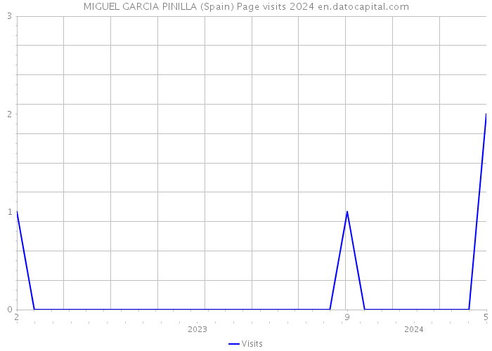 MIGUEL GARCIA PINILLA (Spain) Page visits 2024 