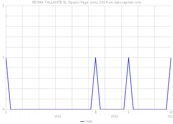 PEYMA TALLANTE SL (Spain) Page visits 2024 