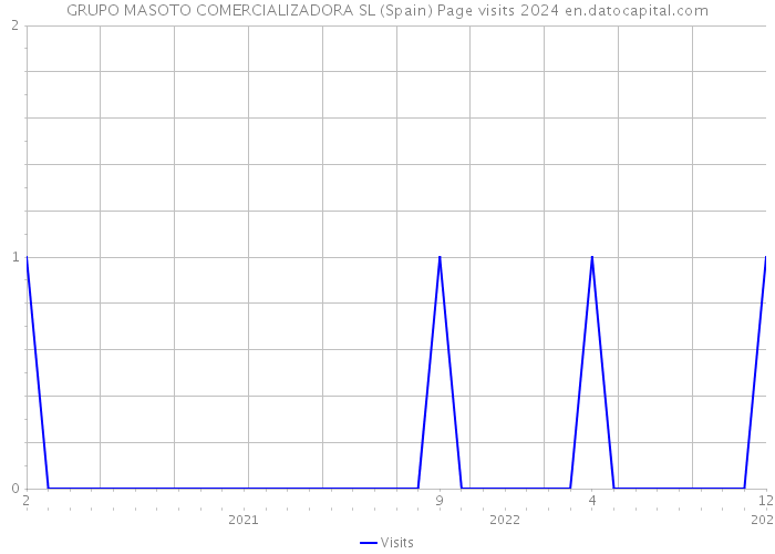 GRUPO MASOTO COMERCIALIZADORA SL (Spain) Page visits 2024 