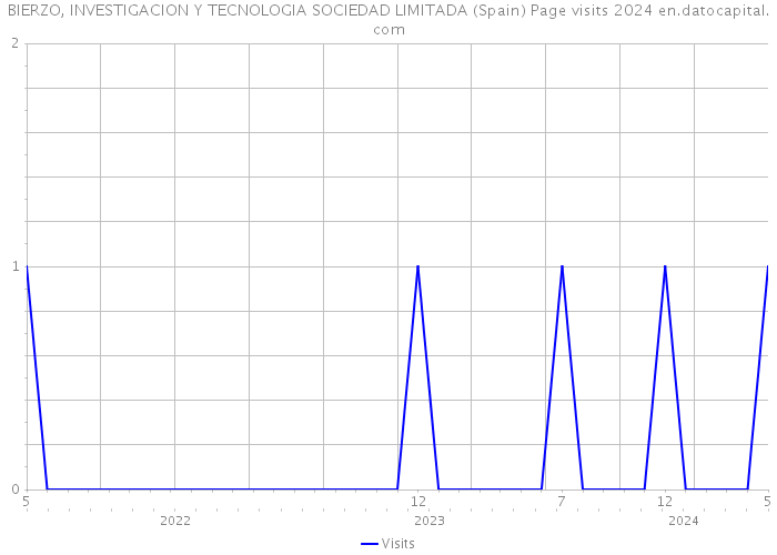 BIERZO, INVESTIGACION Y TECNOLOGIA SOCIEDAD LIMITADA (Spain) Page visits 2024 