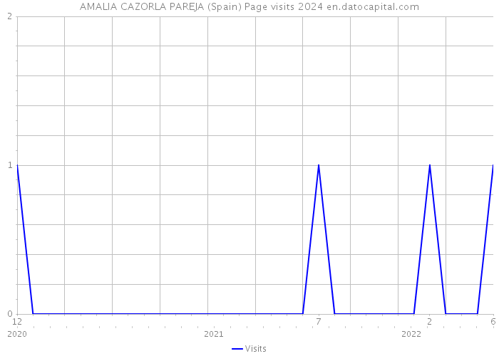 AMALIA CAZORLA PAREJA (Spain) Page visits 2024 