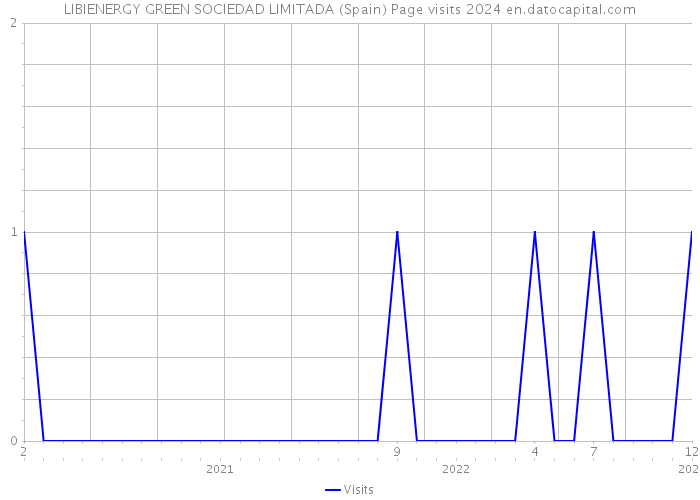 LIBIENERGY GREEN SOCIEDAD LIMITADA (Spain) Page visits 2024 