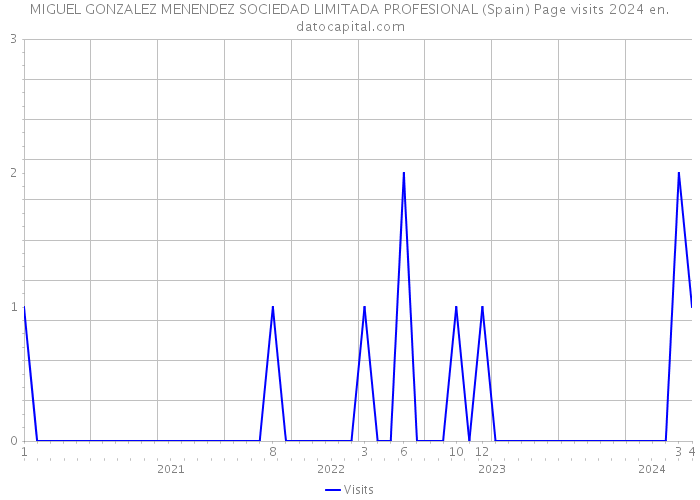 MIGUEL GONZALEZ MENENDEZ SOCIEDAD LIMITADA PROFESIONAL (Spain) Page visits 2024 