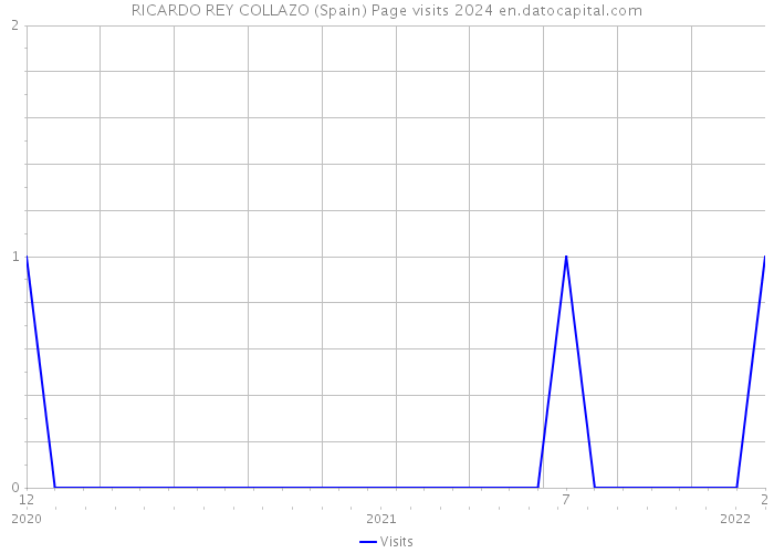 RICARDO REY COLLAZO (Spain) Page visits 2024 