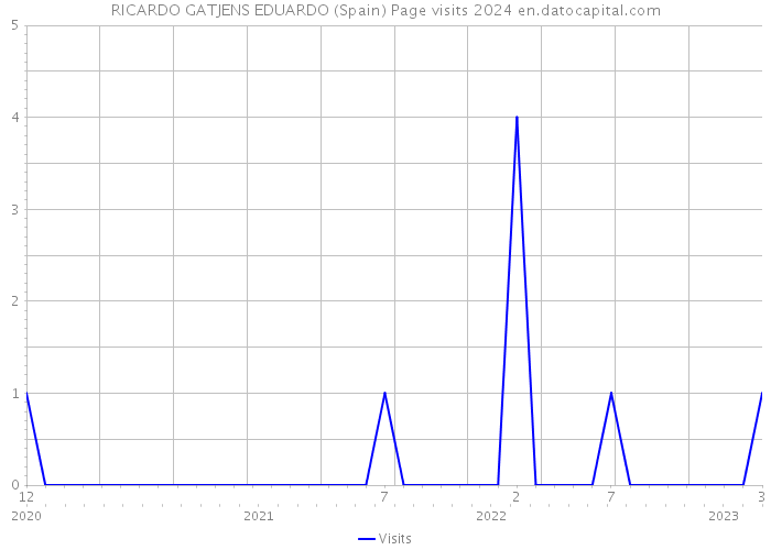 RICARDO GATJENS EDUARDO (Spain) Page visits 2024 