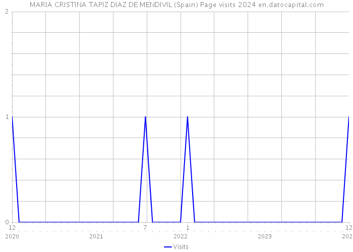 MARIA CRISTINA TAPIZ DIAZ DE MENDIVIL (Spain) Page visits 2024 