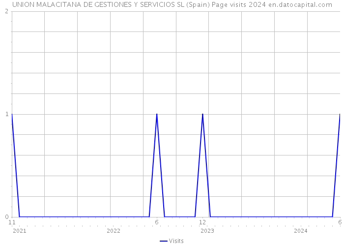UNION MALACITANA DE GESTIONES Y SERVICIOS SL (Spain) Page visits 2024 