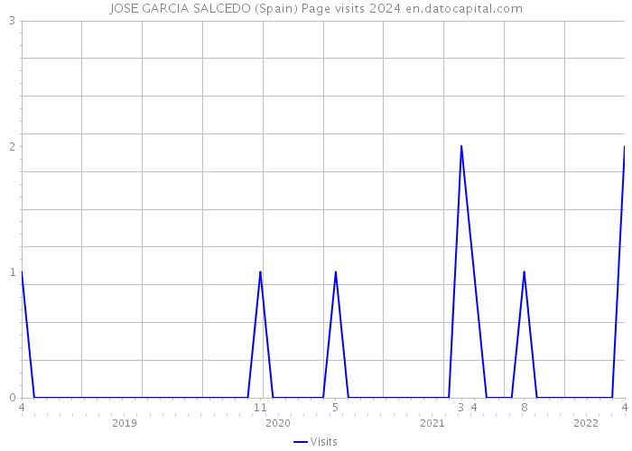 JOSE GARCIA SALCEDO (Spain) Page visits 2024 