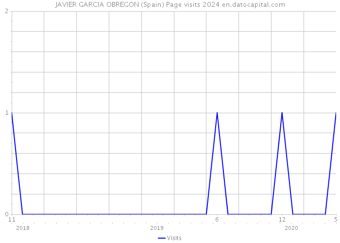 JAVIER GARCIA OBREGON (Spain) Page visits 2024 