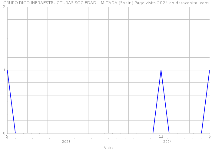 GRUPO DICO INFRAESTRUCTURAS SOCIEDAD LIMITADA (Spain) Page visits 2024 