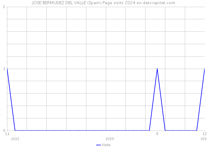 JOSE BERMUDEZ DEL VALLE (Spain) Page visits 2024 