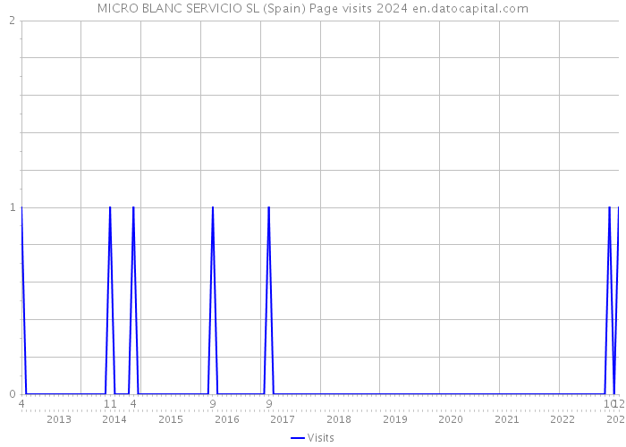 MICRO BLANC SERVICIO SL (Spain) Page visits 2024 