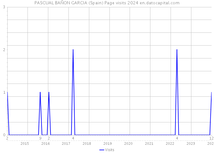 PASCUAL BAÑON GARCIA (Spain) Page visits 2024 
