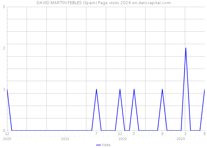 DAVID MARTIN FEBLES (Spain) Page visits 2024 