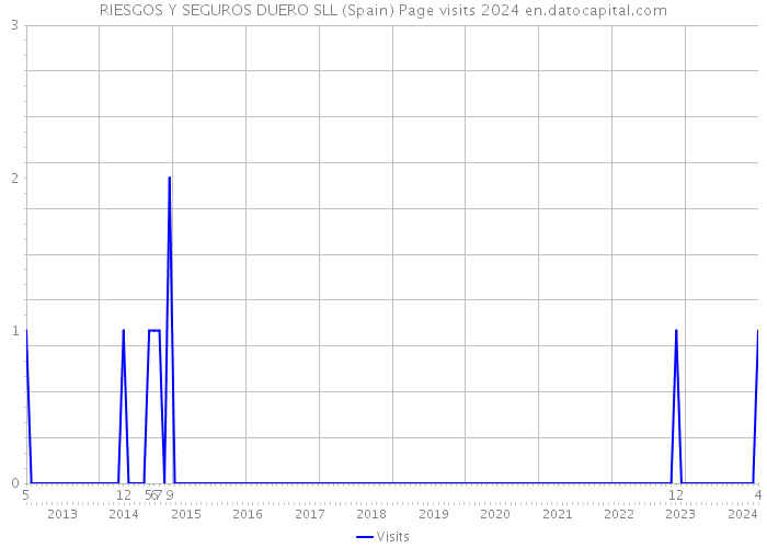 RIESGOS Y SEGUROS DUERO SLL (Spain) Page visits 2024 