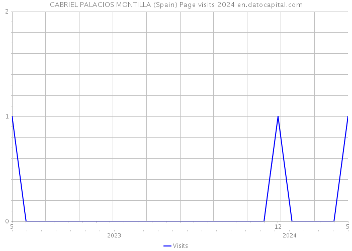 GABRIEL PALACIOS MONTILLA (Spain) Page visits 2024 