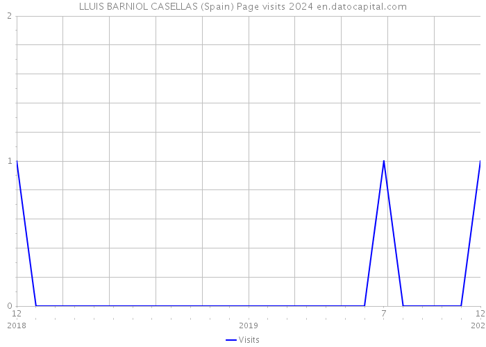 LLUIS BARNIOL CASELLAS (Spain) Page visits 2024 