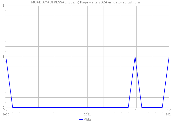 MUAD AYADI RESSAE (Spain) Page visits 2024 