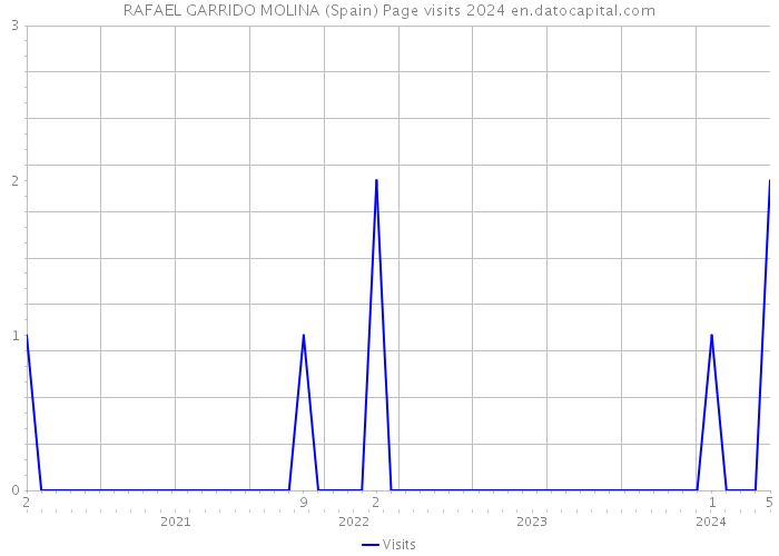 RAFAEL GARRIDO MOLINA (Spain) Page visits 2024 
