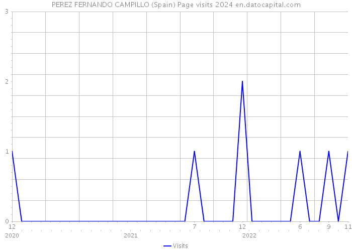 PEREZ FERNANDO CAMPILLO (Spain) Page visits 2024 