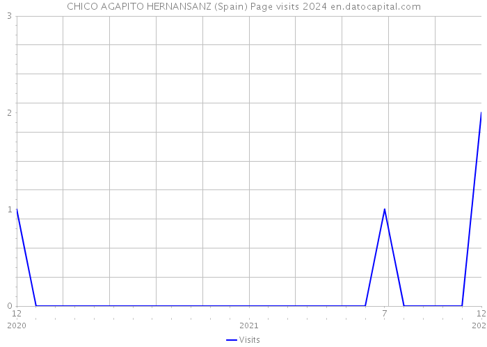 CHICO AGAPITO HERNANSANZ (Spain) Page visits 2024 