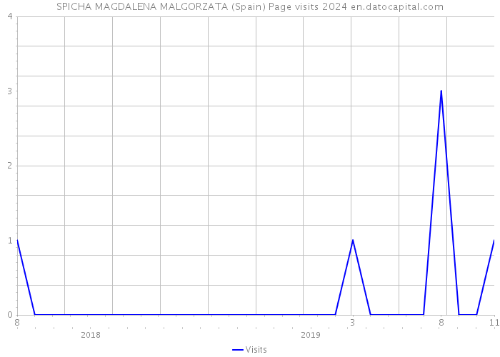 SPICHA MAGDALENA MALGORZATA (Spain) Page visits 2024 