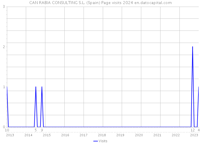 CAN RABIA CONSULTING S.L. (Spain) Page visits 2024 