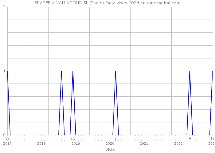 BRASERIA VALLADOLID SL (Spain) Page visits 2024 