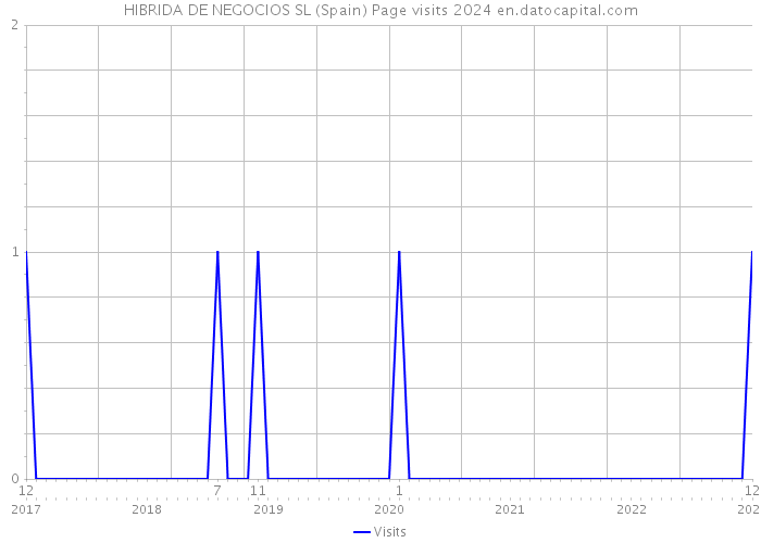 HIBRIDA DE NEGOCIOS SL (Spain) Page visits 2024 