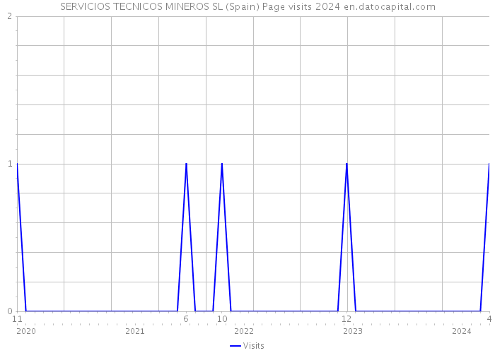 SERVICIOS TECNICOS MINEROS SL (Spain) Page visits 2024 
