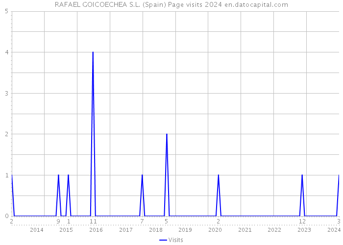 RAFAEL GOICOECHEA S.L. (Spain) Page visits 2024 