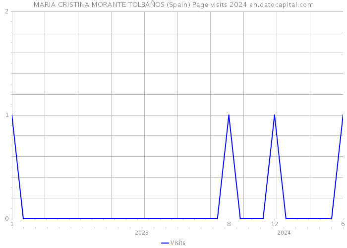 MARIA CRISTINA MORANTE TOLBAÑOS (Spain) Page visits 2024 