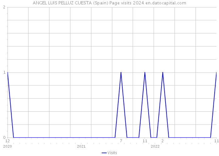 ANGEL LUIS PELLUZ CUESTA (Spain) Page visits 2024 