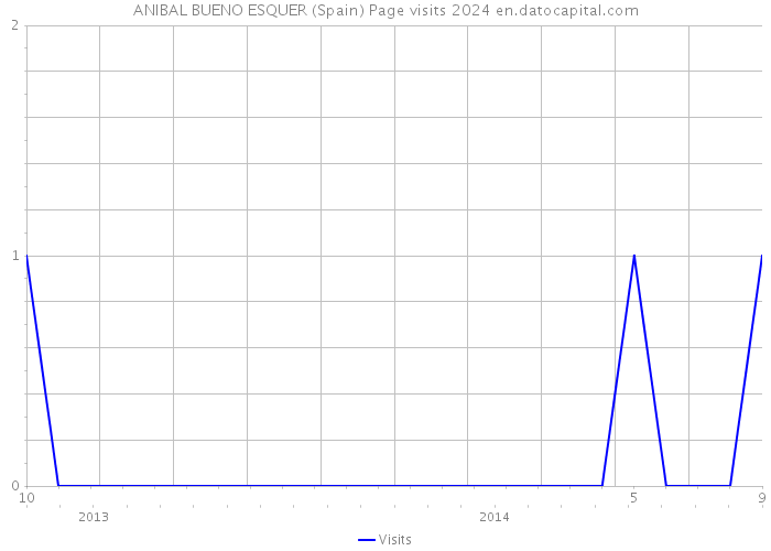 ANIBAL BUENO ESQUER (Spain) Page visits 2024 