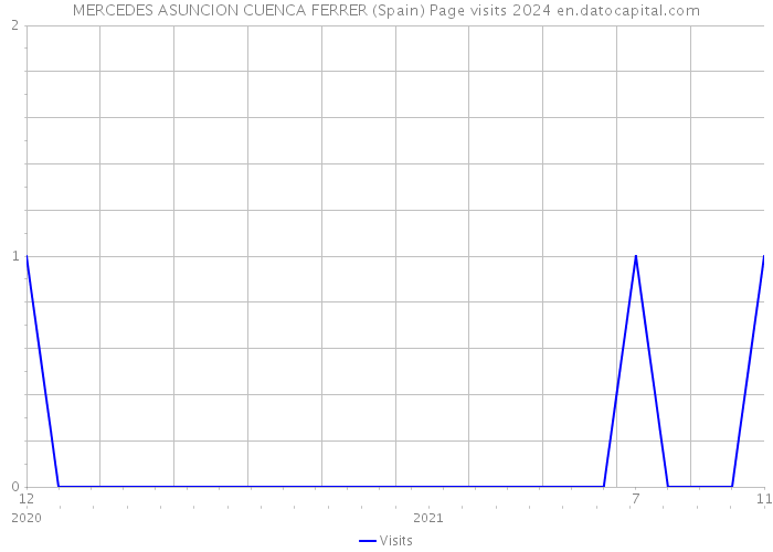 MERCEDES ASUNCION CUENCA FERRER (Spain) Page visits 2024 