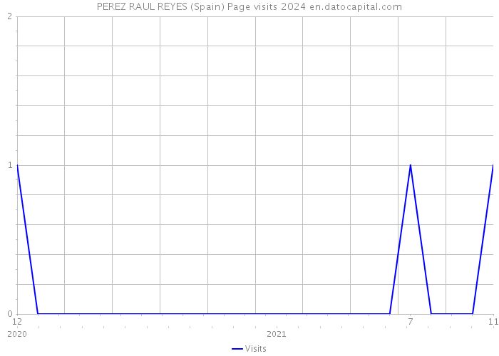 PEREZ RAUL REYES (Spain) Page visits 2024 