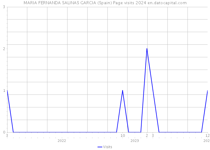 MARIA FERNANDA SALINAS GARCIA (Spain) Page visits 2024 