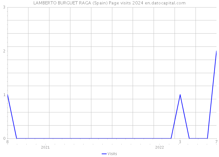 LAMBERTO BURGUET RAGA (Spain) Page visits 2024 