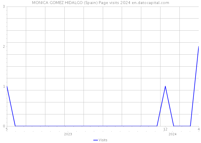 MONICA GOMEZ HIDALGO (Spain) Page visits 2024 