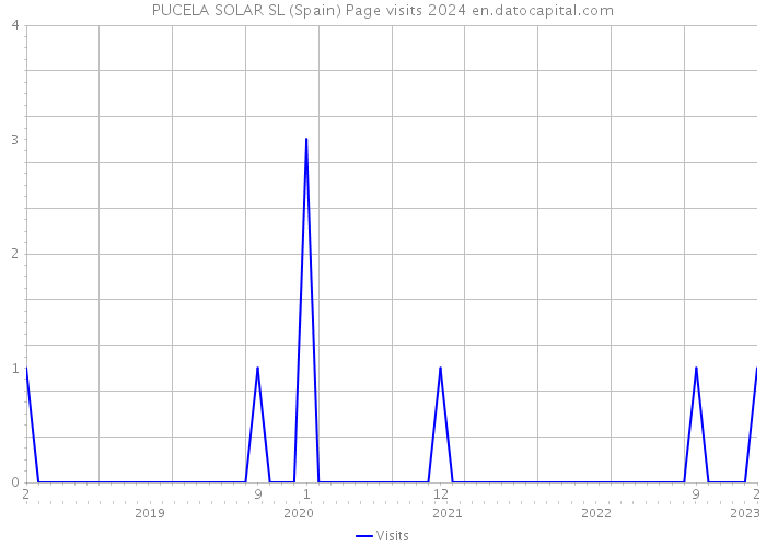 PUCELA SOLAR SL (Spain) Page visits 2024 