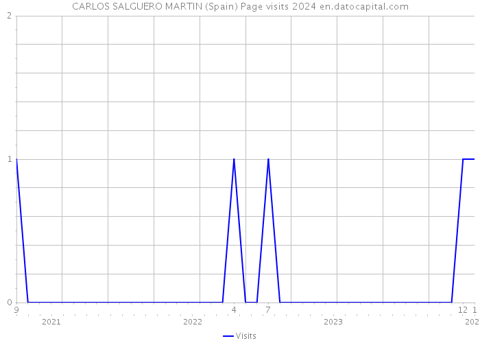 CARLOS SALGUERO MARTIN (Spain) Page visits 2024 