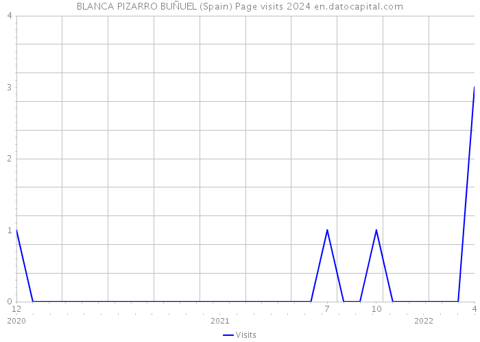 BLANCA PIZARRO BUÑUEL (Spain) Page visits 2024 
