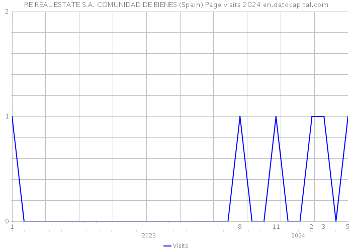 RE REAL ESTATE S.A. COMUNIDAD DE BIENES (Spain) Page visits 2024 