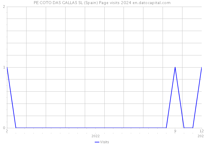 PE COTO DAS GALLAS SL (Spain) Page visits 2024 